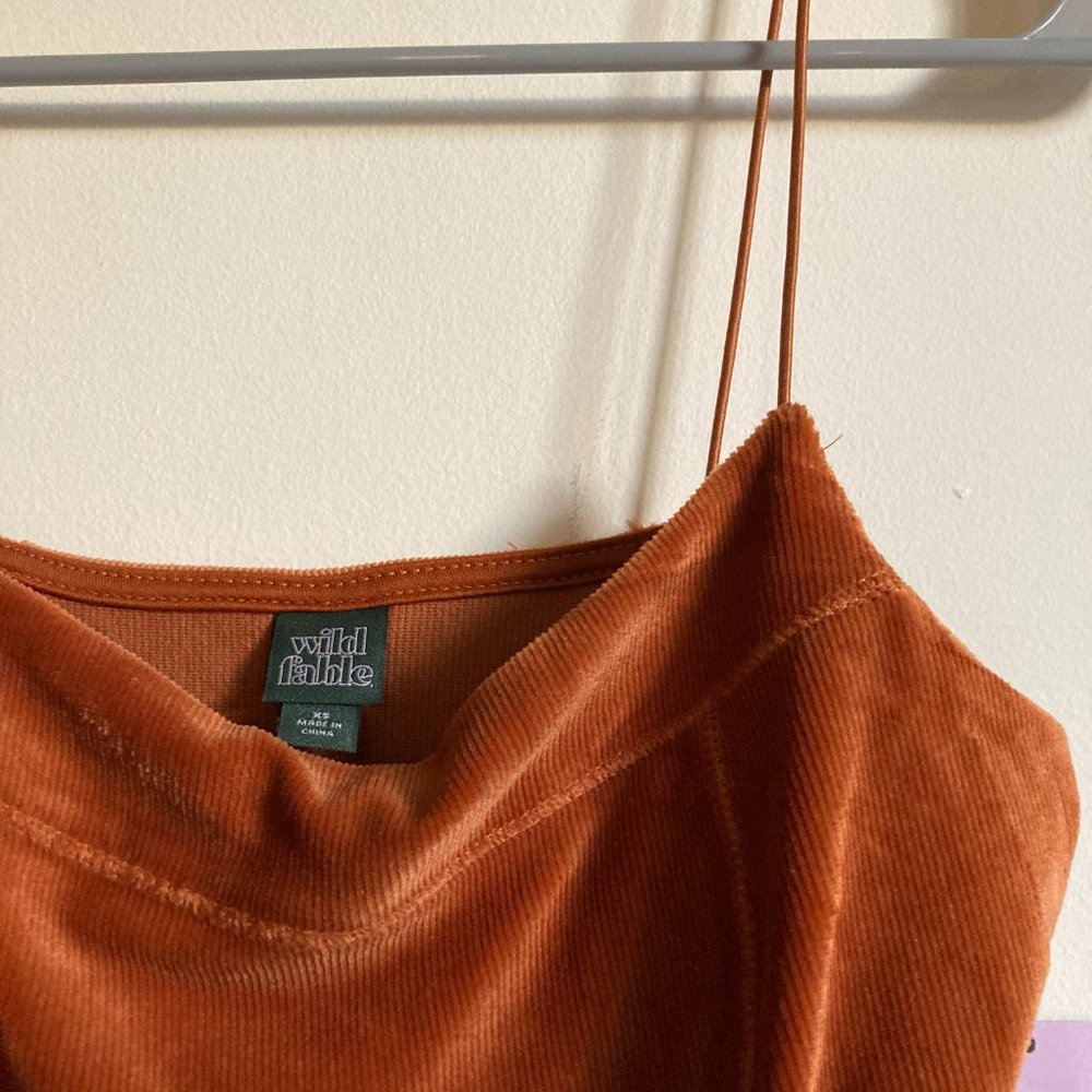 Wild Fable Velvet Seamed Dress - Picture 3 of 4